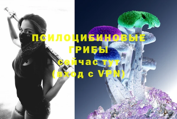 трава Надым