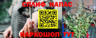 гашик Краснодар