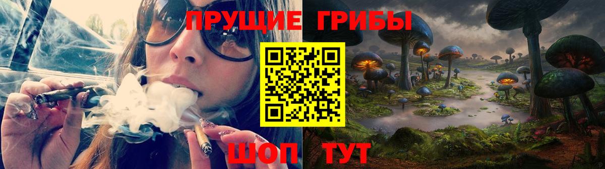 Тара  Галлюциногенные грибы Psilocybine cubensis  Вход с VPN  Галлюциногенные грибы ЛСД 