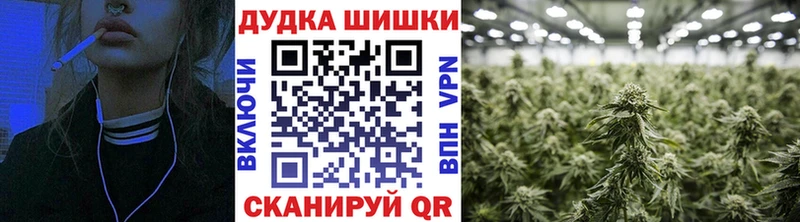 Купить Тара Каннабис SATIVA & INDICA