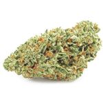 Шишки OG Kush  (Гидропоника, бошки) VHQ в Таре
